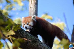 Halloween - Zoo de Lille - 2021 - 45