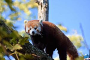 Halloween - Zoo de Lille - 2021 - 46