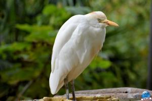 Halloween - Zoo de Lille - 2020 - 31