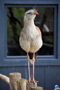 Halloween - Zoo de Lille - 2020 - 32