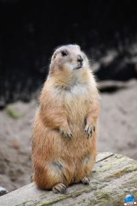 Halloween - Zoo de Lille - 2020 - 33