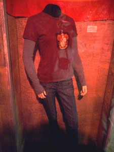 harry_25_20090723_1716260329