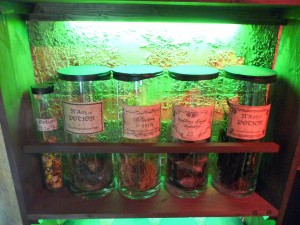 trainsuite_10_20090723_1211626341