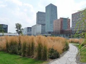 jardin_62_20100430_1030210593