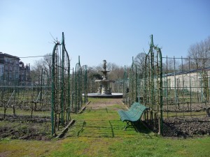  Jardin Fruitier