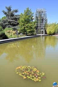 Jardin des Géants 2020 - 10