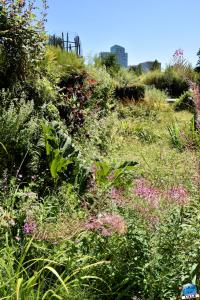 Jardin des Géants 2020 - 13