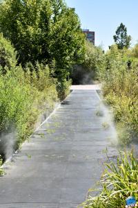 Jardin des Géants 2020 - 14