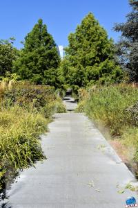 Jardin des Géants 2020 - 15