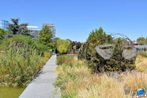 Jardin des Géants 2020 - 16