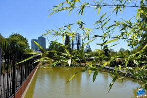 Jardin des Géants 2020 - 18