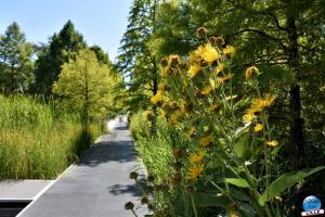 Jardin des Géants 2020 - 21