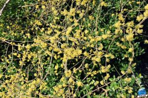 Jardin des Plantes - 31