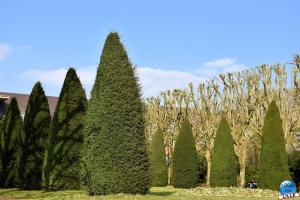 Jardin des Plantes - 33