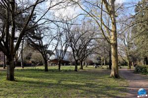 Jardin des Plantes - 37