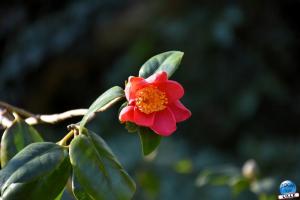 Jardin des Plantes - 39