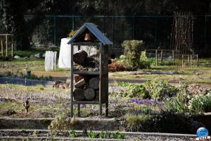 Jardin des Plantes - 40