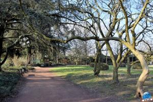 Jardin des Plantes - 41