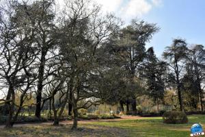 Jardin des Plantes - 42