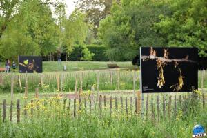 Jardin des Plantes 2025 - 01