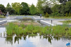 Jardin des Plantes 2025 - 07