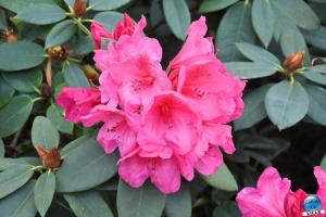 Jardin des Plantes 2025 - 08