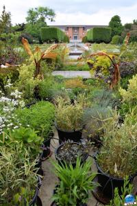 Jardin des Plantes 2025 - 10