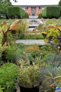 Jardin des Plantes 2025 - 11