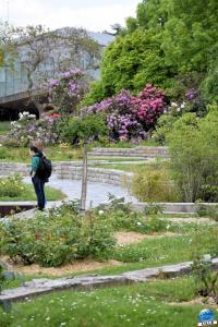 Jardin des Plantes 2025 - 13