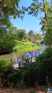Jardins de la Basse-Deûle - 03