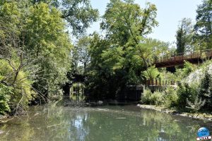Jardins de la Basse-Deûle - 08