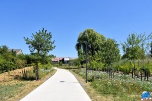 Jardins de la Basse-Deûle - 13
