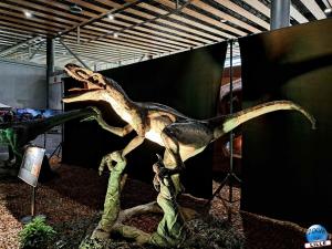 Le Mondes Dinosaures - 03