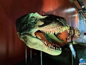 Le Mondes Dinosaures - 04