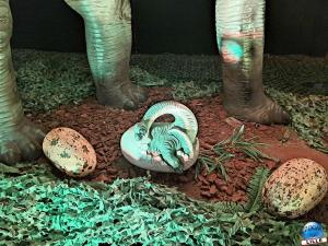 Le Mondes Dinosaures - 05