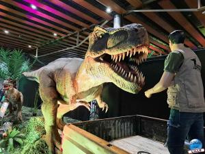 Le Mondes Dinosaures - 06