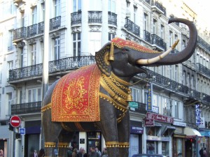 elephant lille 3000