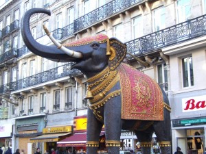elephant lille 3000