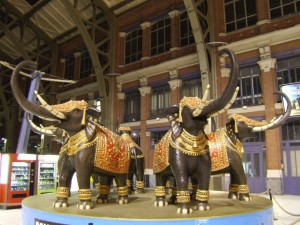 elephant lille 3000