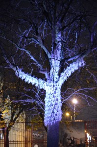 berger_11_20121209_1518709492
