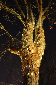 berger_12_20121209_1766248176