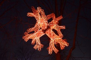 berger_14_20121209_1146505937