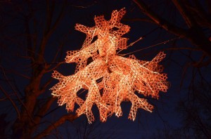 berger_15_20121209_1053800152