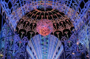 dentelle_stellaire_21_20130108_1074222833
