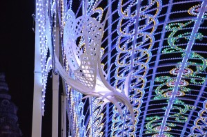 dentelle_stellaire_26_20121105_1643504763