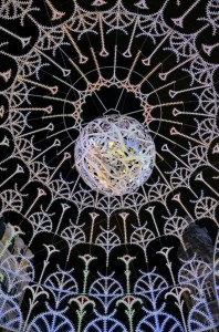dentelle_stellaire_30_20121105_1453125595