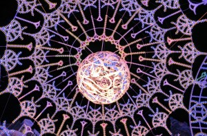 dentelle_stellaire_31_20121105_1898053132