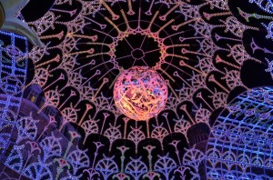 dentelle_stellaire_33_20121105_1466942286