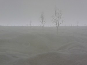 location6_1_20121209_2043629904