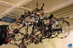 TriPostal 2019 - 15